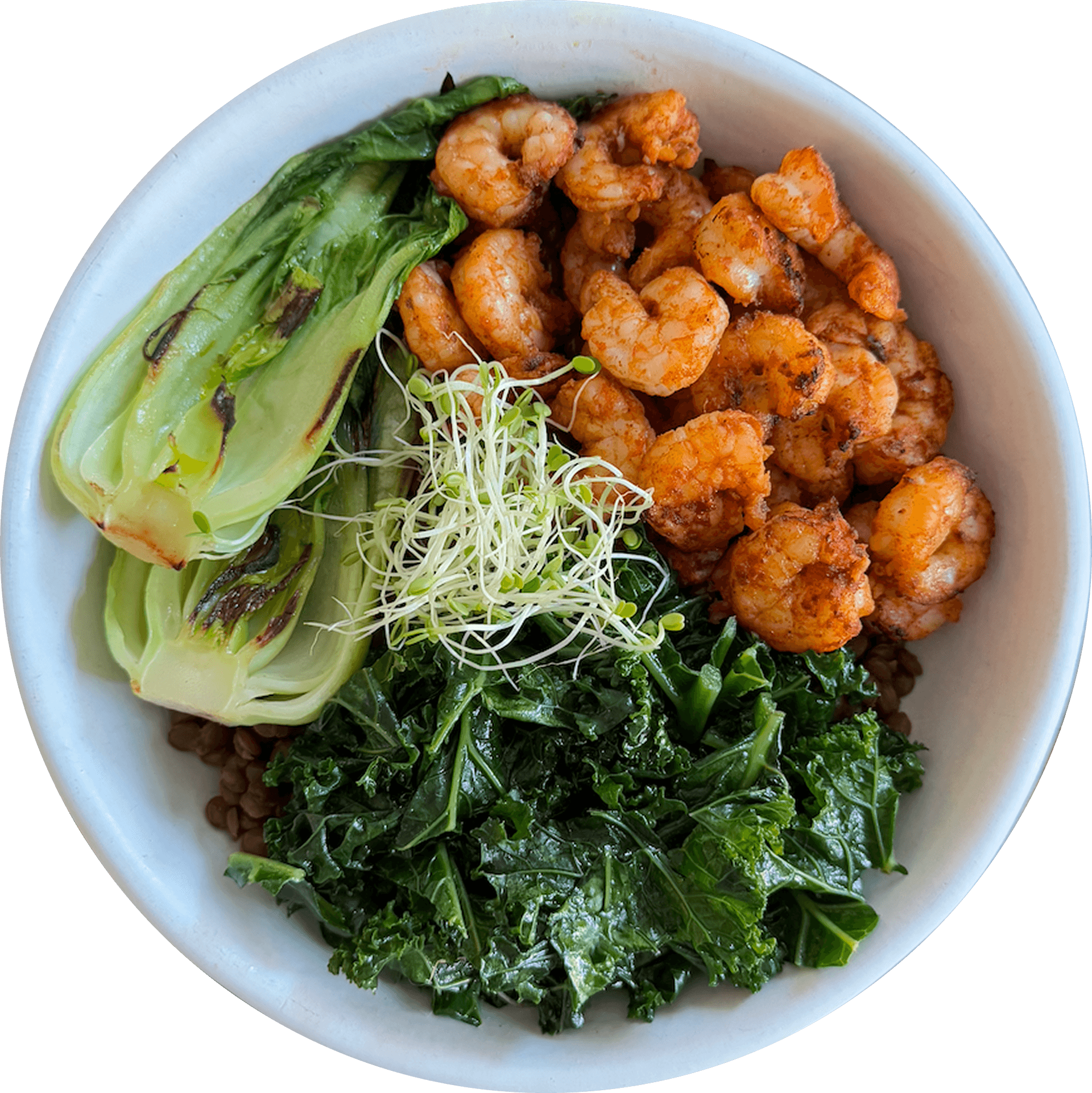 Lentil bowl with shrimp and veggies